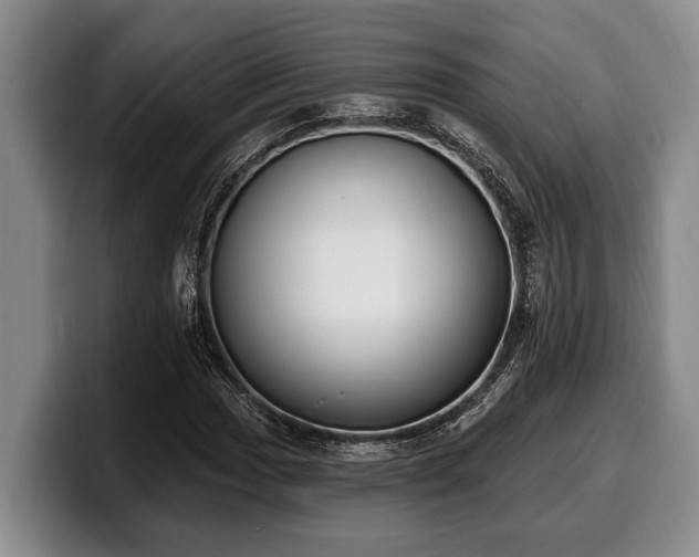 X0000100321017200806051512