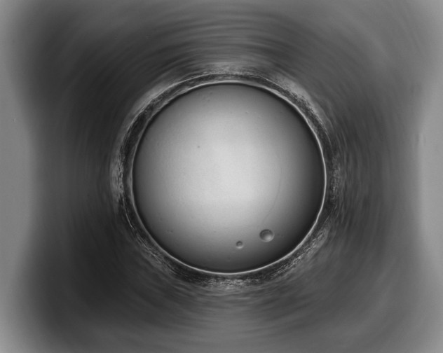 X0000100321019200806051512