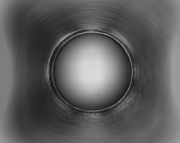 X0000100321020200806051512