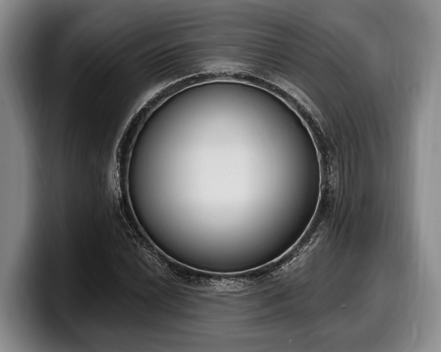 X0000100321022200806051512
