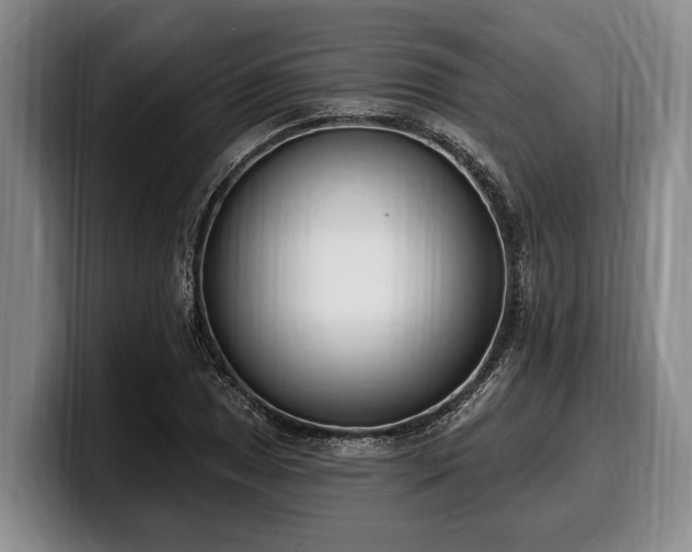 X0000100321025200806051512