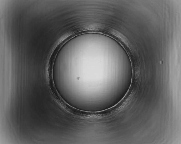 X0000100321026200806051512