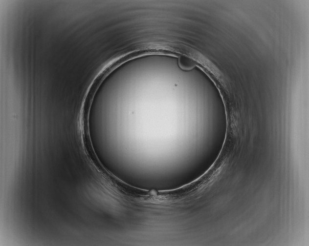X0000100321028200806051512