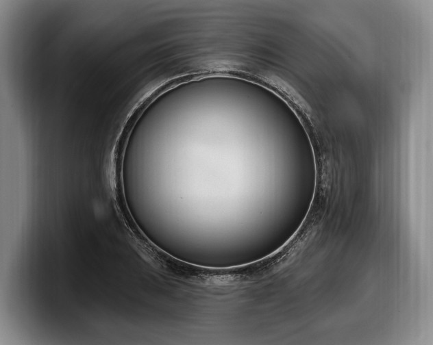 X0000100321031200806051512
