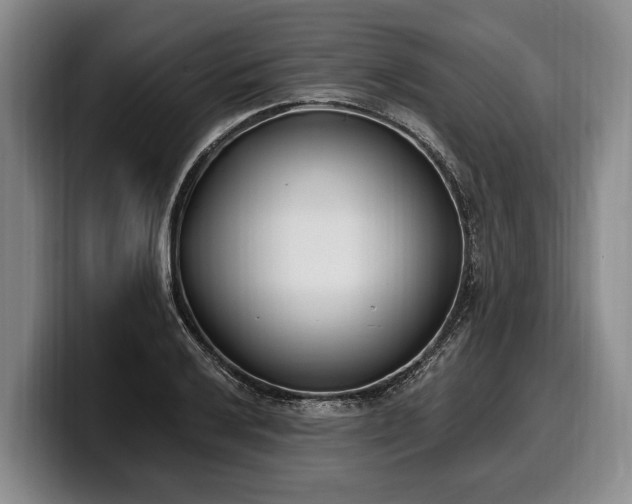 X0000100321032200806051512