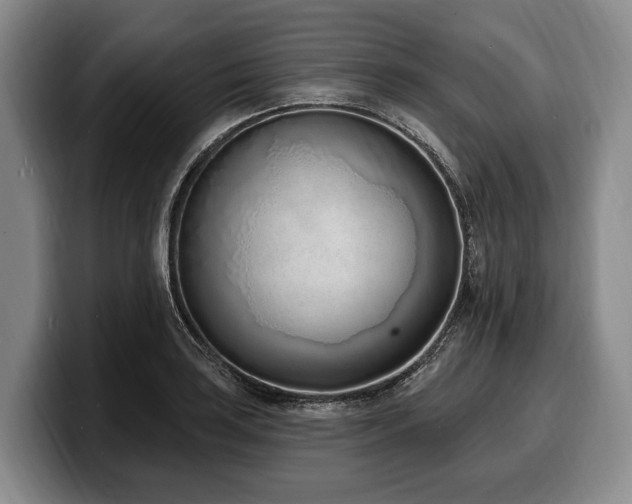 X0000100321035200806051512
