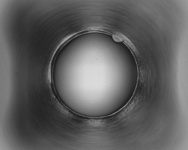 X0000100321036200806051512