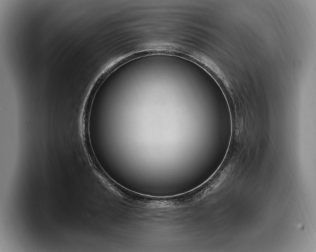 X0000100321037200806051512