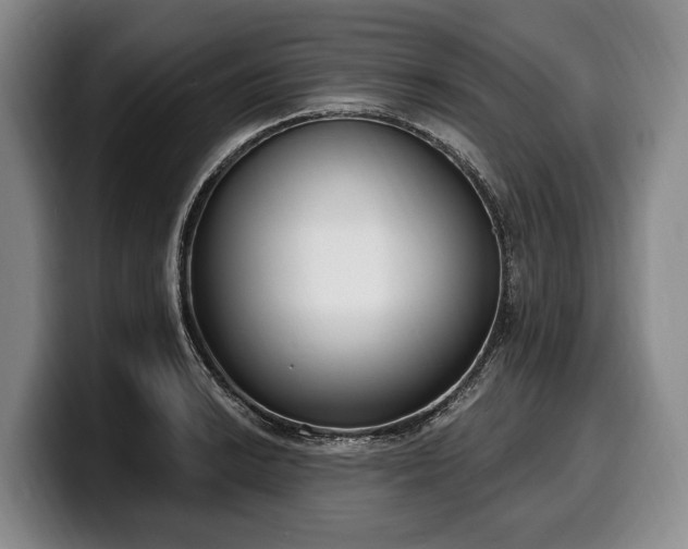 X0000100321038200806051512
