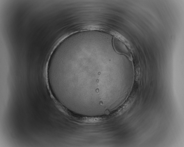 X0000100321039200806051512
