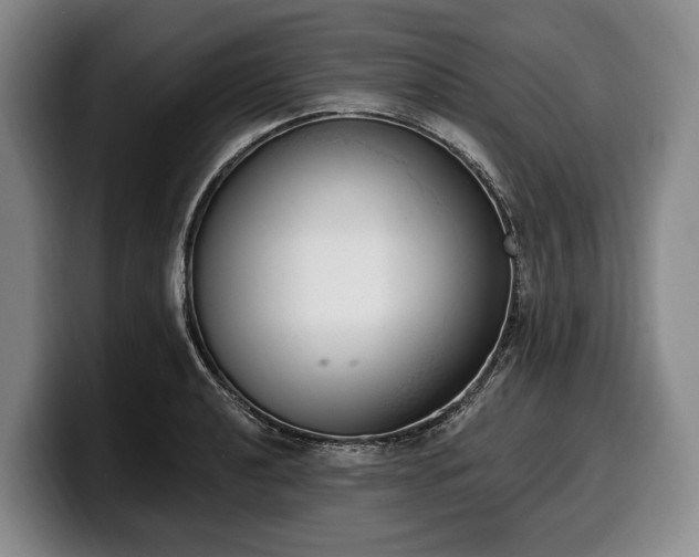 X0000100321040200806051512