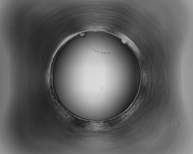 X0000100321052200806051513
