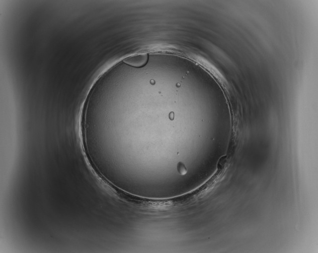 X0000100321055200806051513