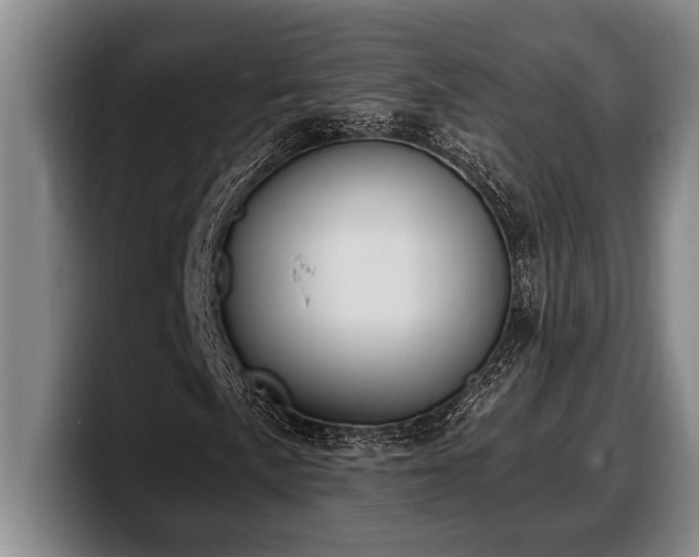 X0000100321057200806051512