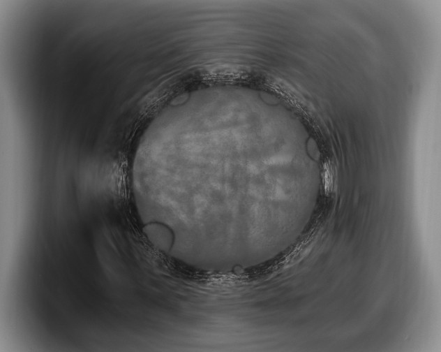 X0000100321059200806051512