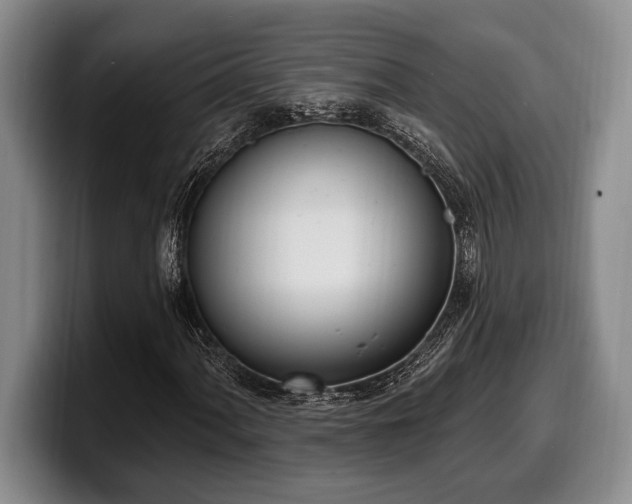 X0000100321060200806051512