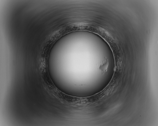 X0000100321062200806051512