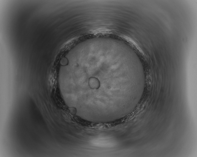 X0000100321063200806051512