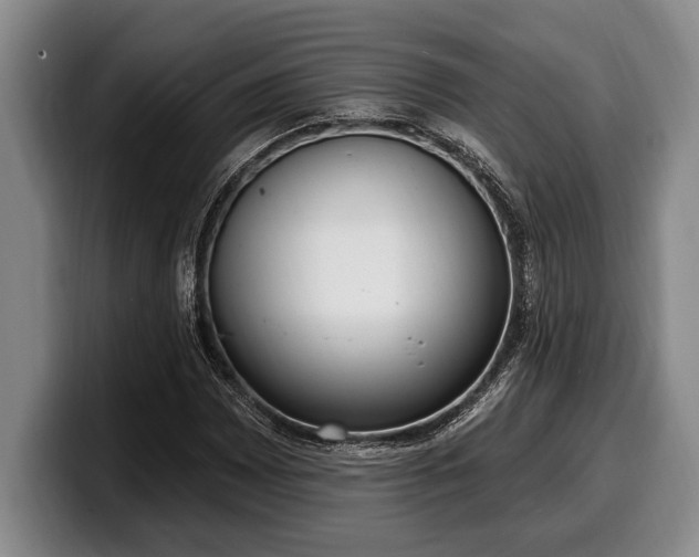 X0000100321065200806051512