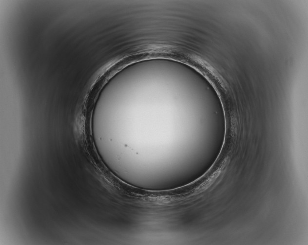 X0000100321066200806051512