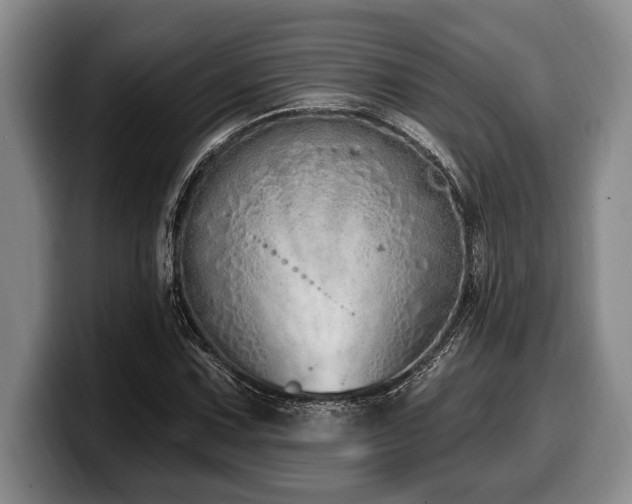 X0000100321067200806051512