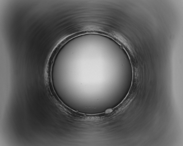 X0000100321068200806051512