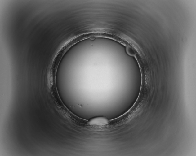 X0000100321069200806051512