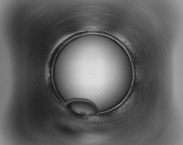 X0000100321070200806051512