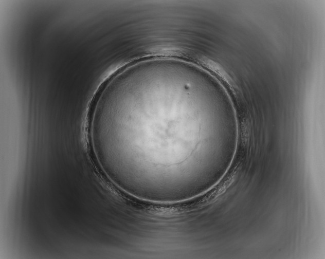 X0000100321071200806051512