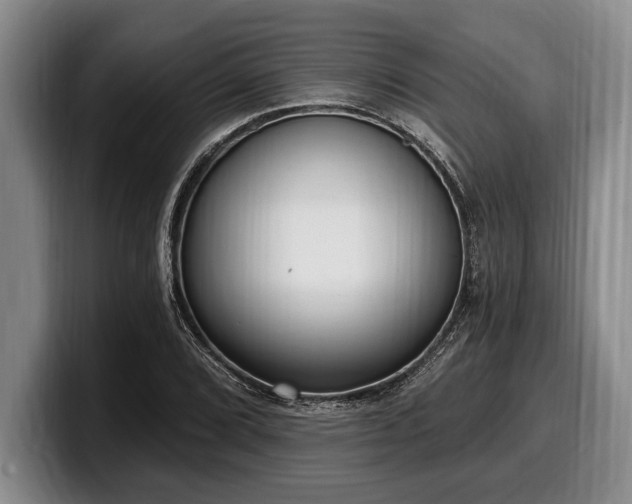 X0000100321072200806051512