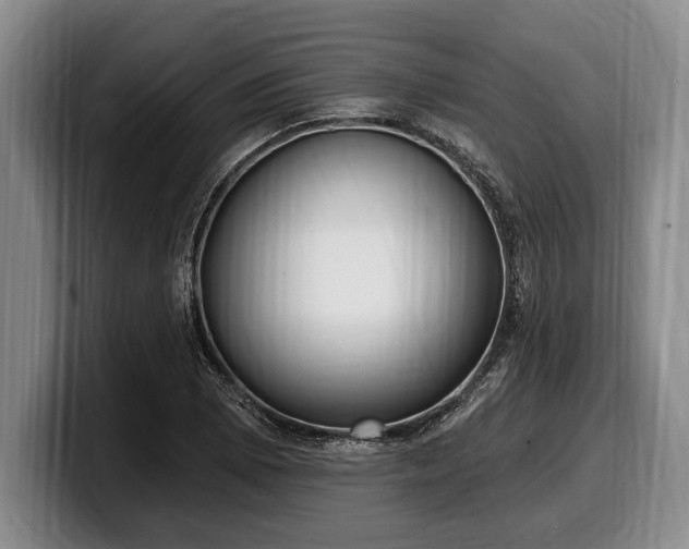 X0000100321073200806051512
