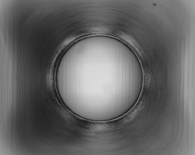 X0000100321074200806051512