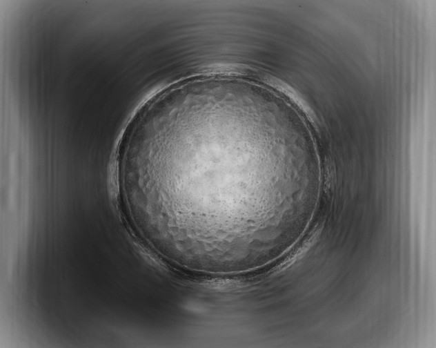 X0000100321075200806051512