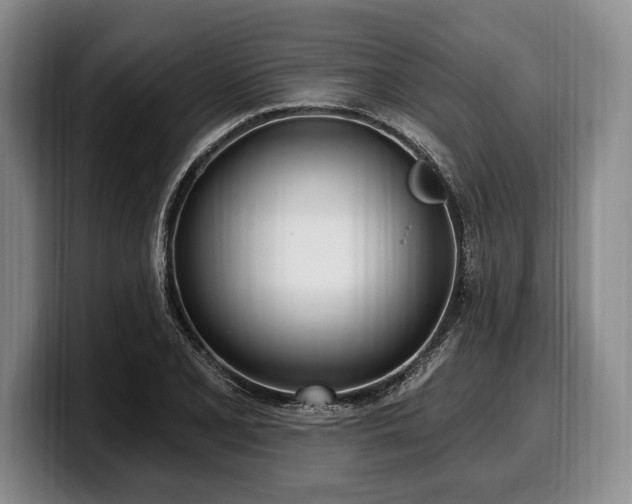 X0000100321077200806051512