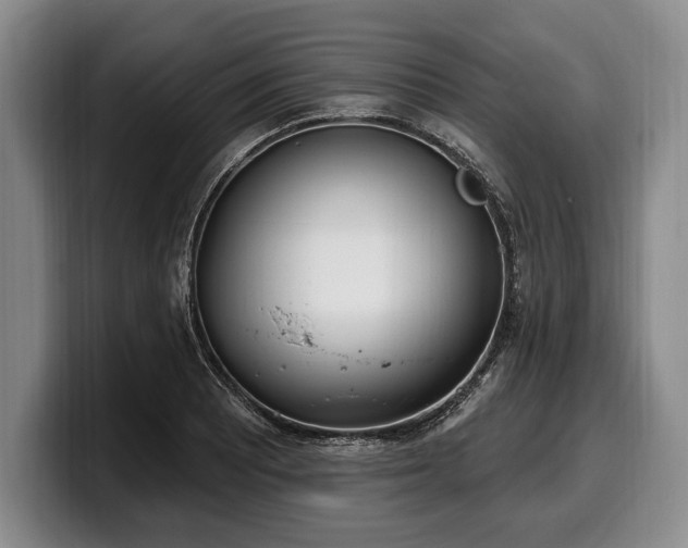 X0000100321081200806051512