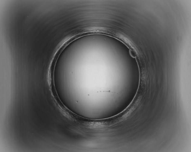 X0000100321082200806051512