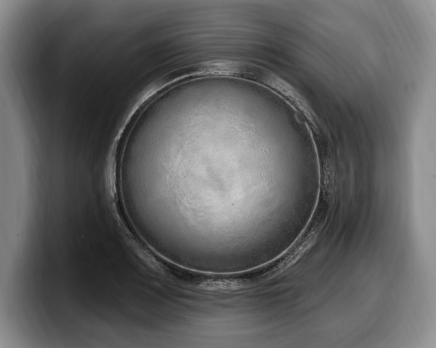 X0000100321083200806051512