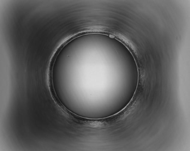X0000100321085200806051512