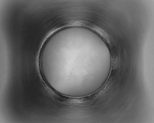 X0000100321086200806051512