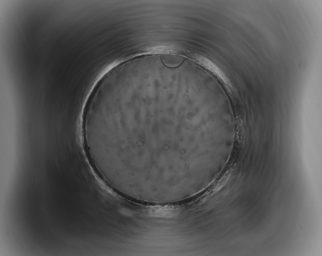 X0000100321087200806051512