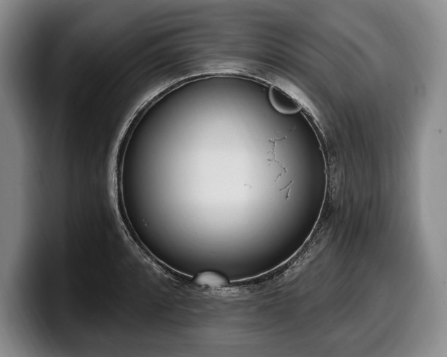 X0000100321088200806051512