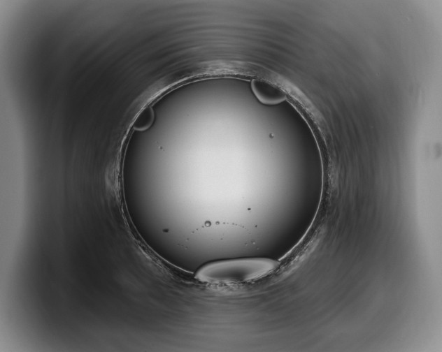 X0000100321089200806051512
