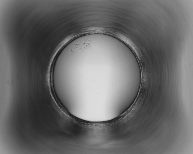 X0000100321090200806051512