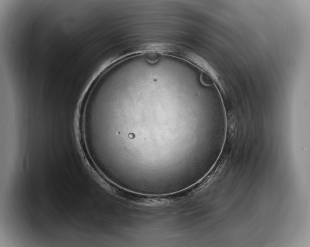 X0000100321091200806051512
