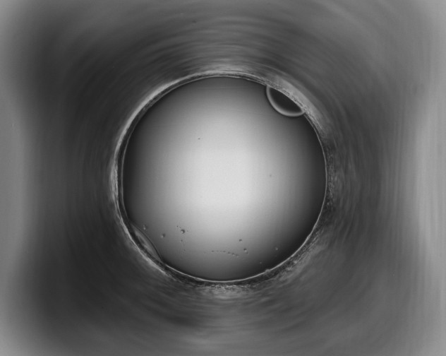 X0000100321092200806051512