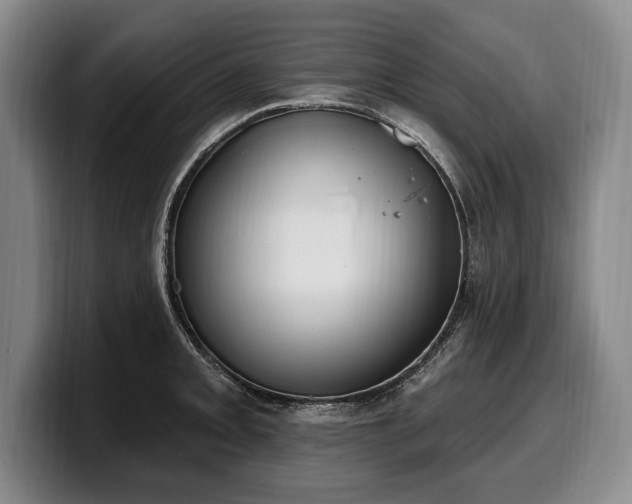 X0000100321093200806051512