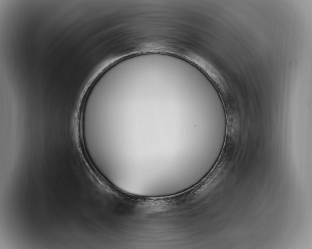X0000100321094200806051511