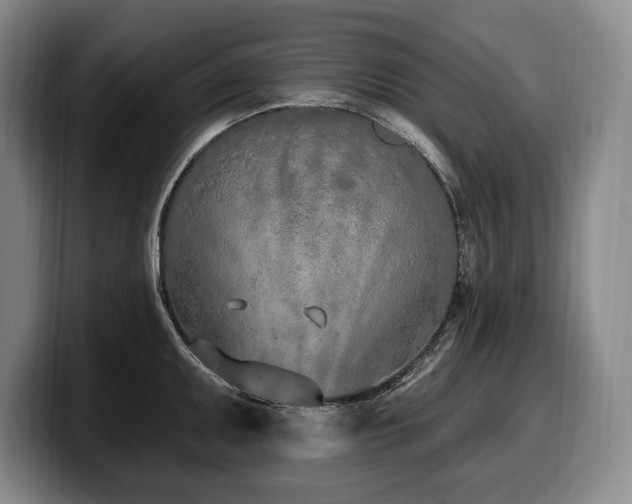 X0000100321095200806051511