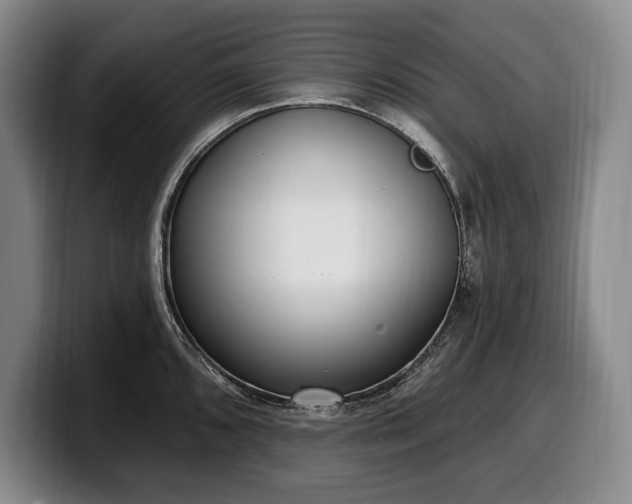 X0000100321096200806051511
