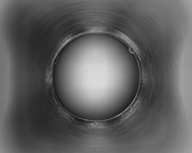 X0000100321097200806051511